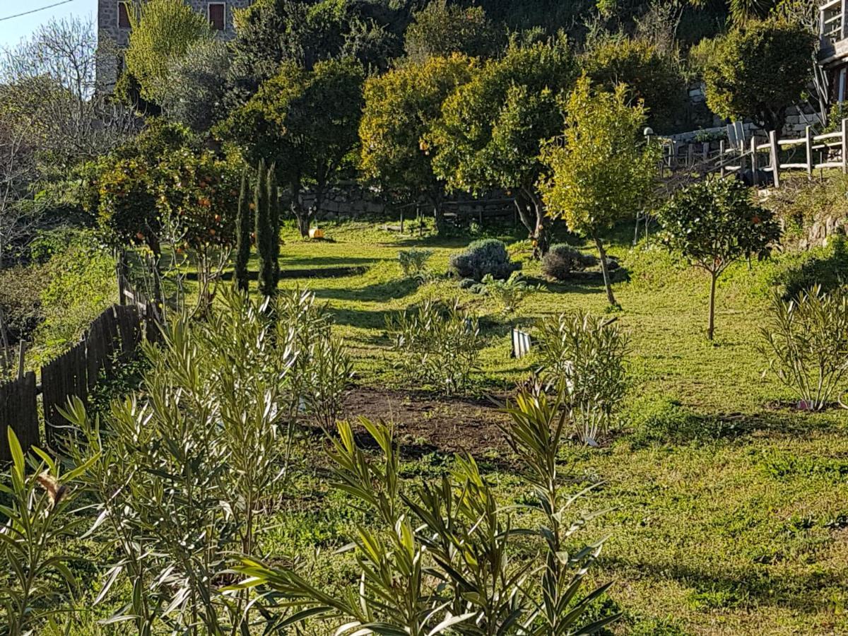 Pila-Canale La Villa Guidi المظهر الخارجي الصورة