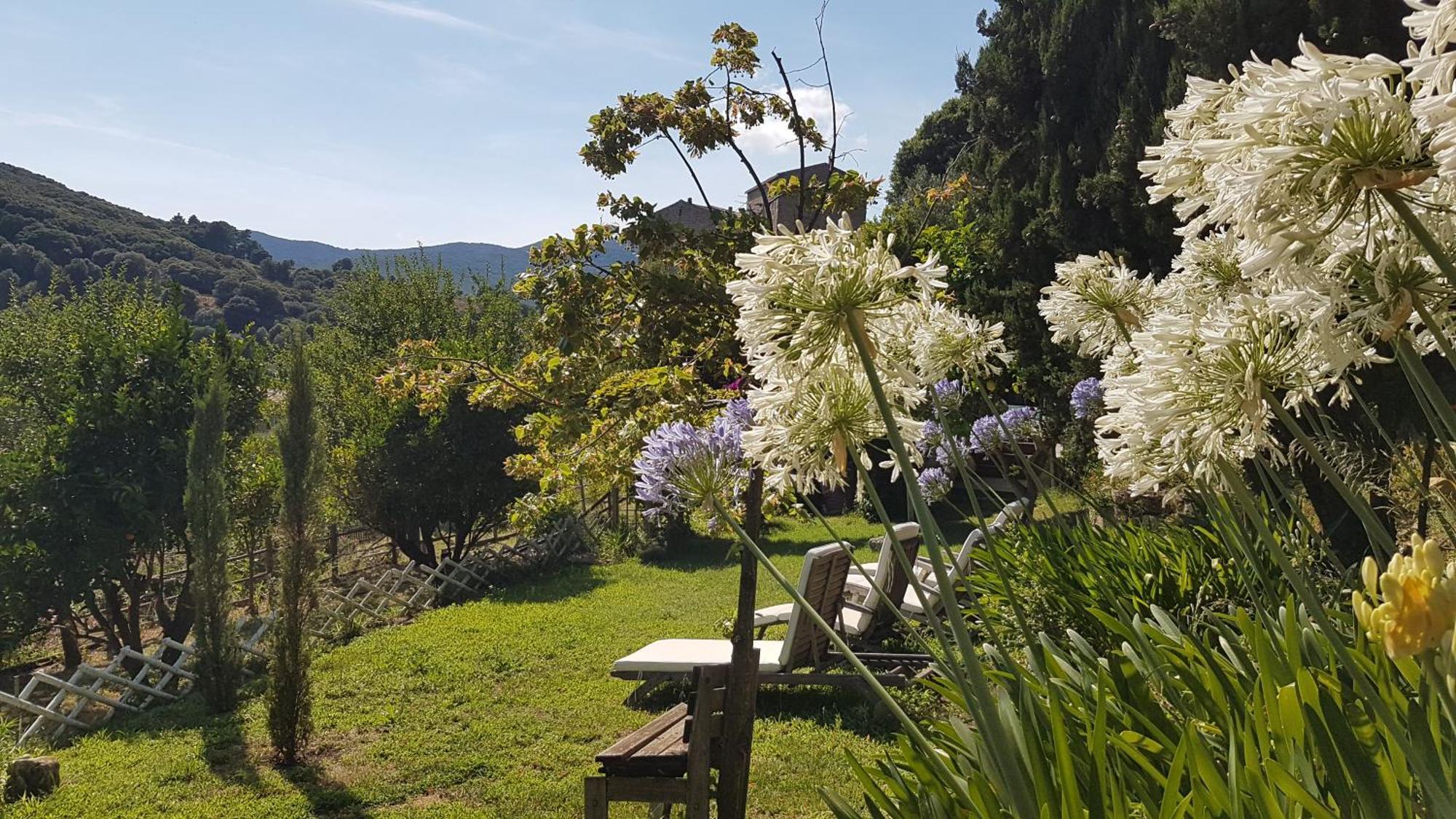 Pila-Canale La Villa Guidi المظهر الخارجي الصورة