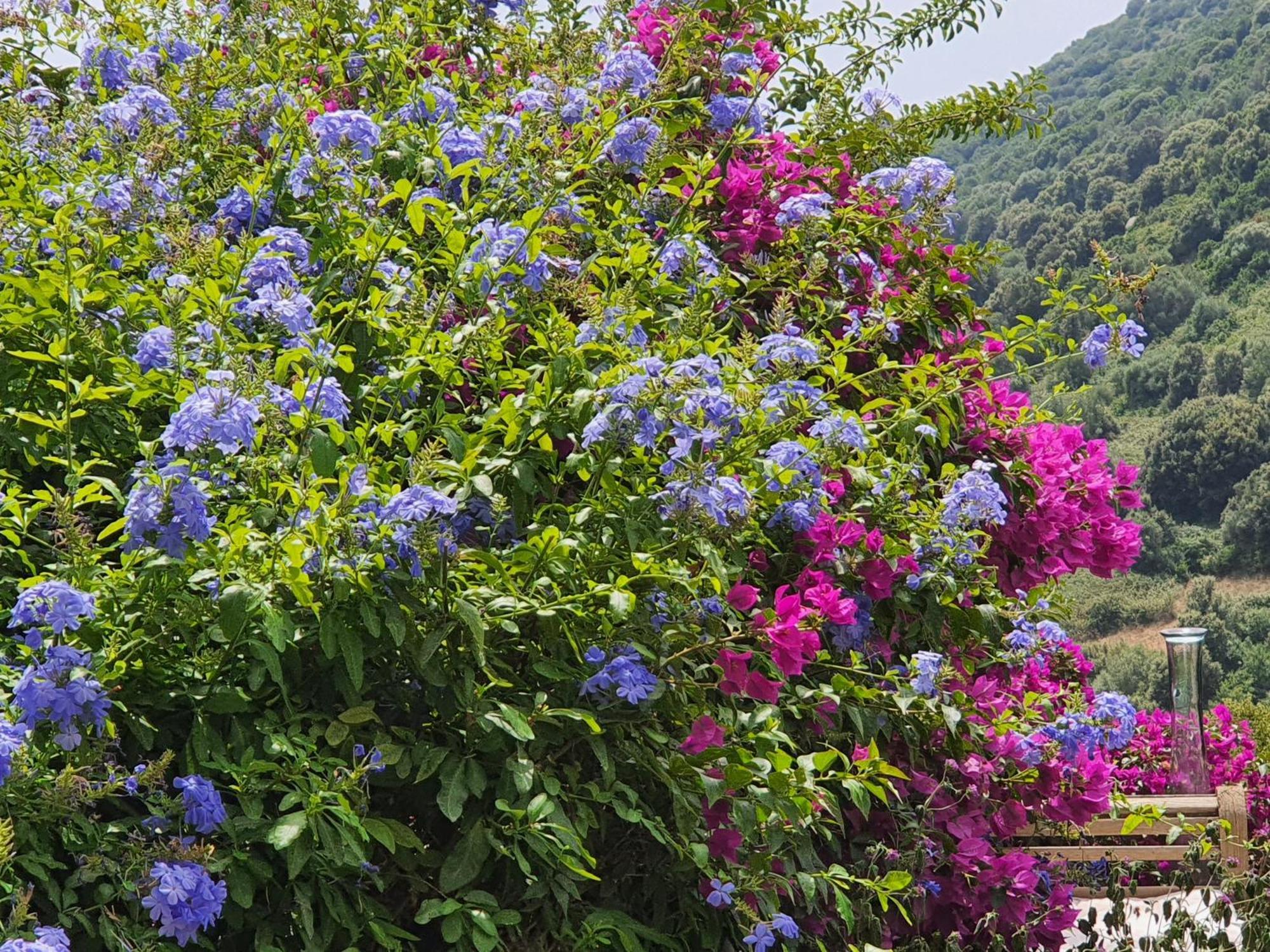 Pila-Canale La Villa Guidi المظهر الخارجي الصورة